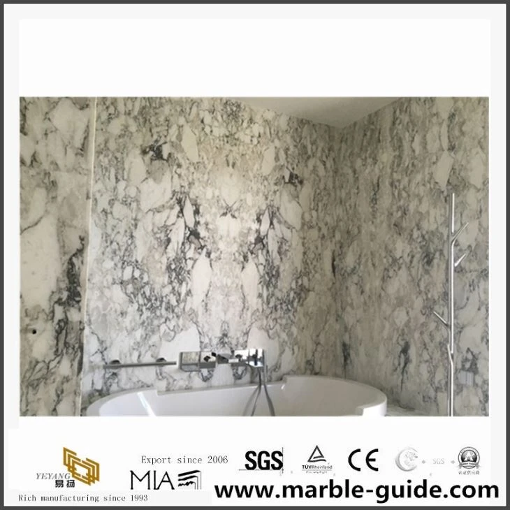 Arabescato Venato/ Castro White Marble China Hot Sale Building Material Slabs